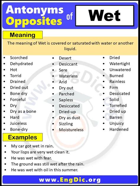 synonym for wet|antonyms for wet.